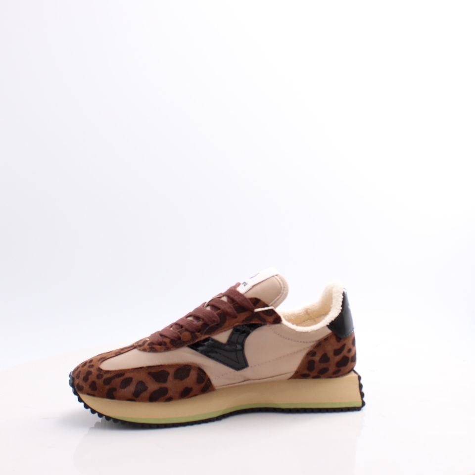 1134116 COSMOS VICTORIA