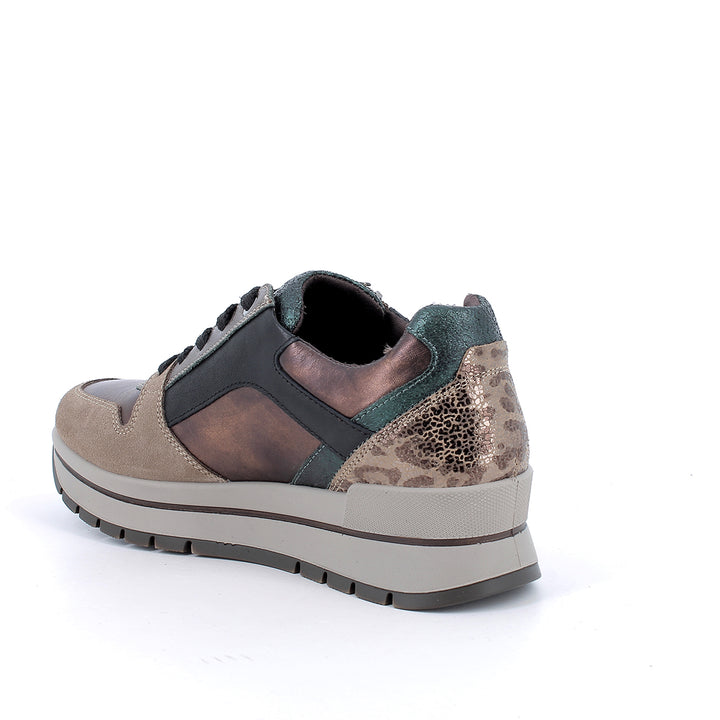 2174122 IGI&CO SHOES 26