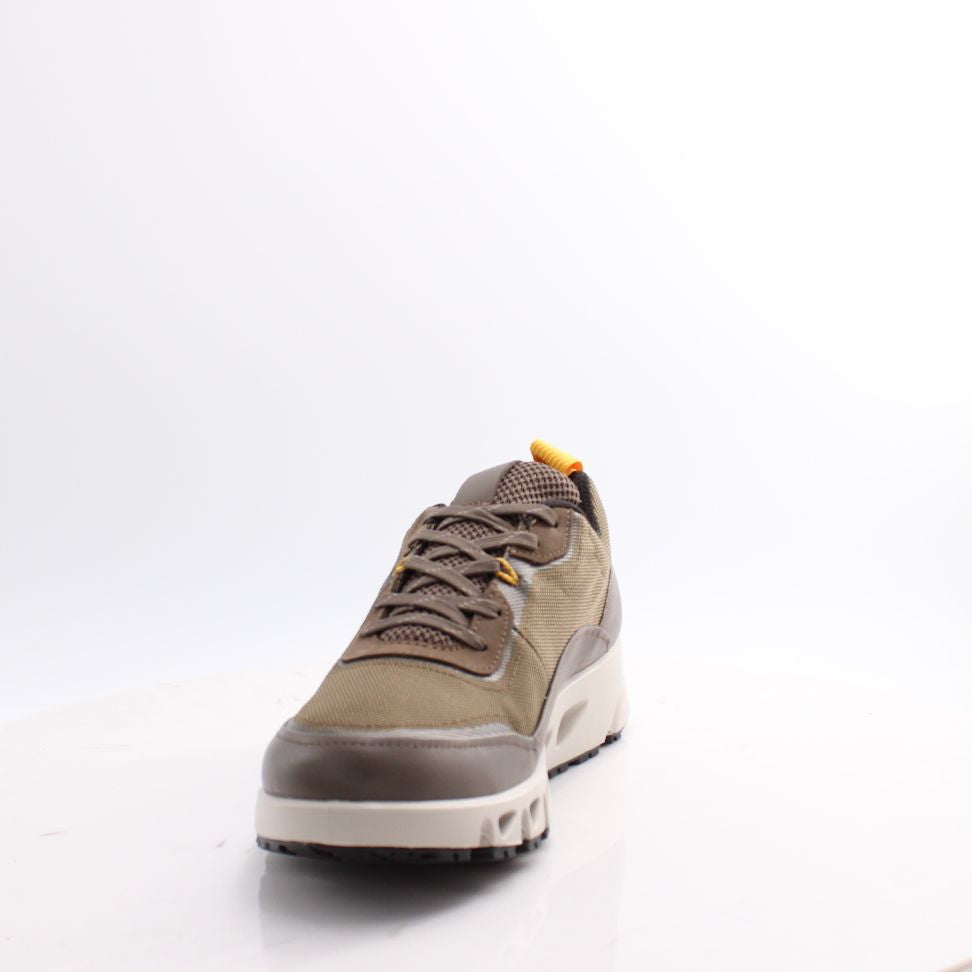 880284 MULTI VENT ECCO 25