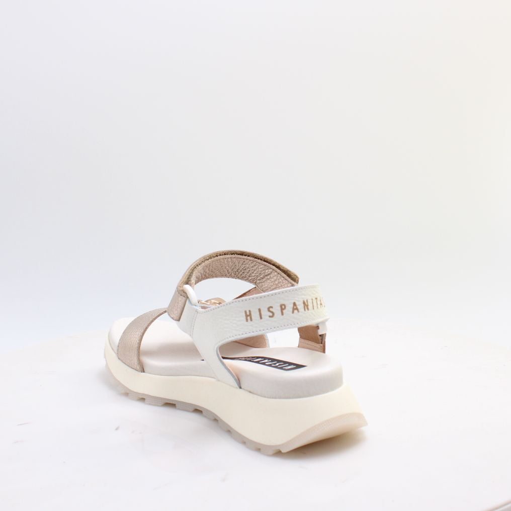 CHV264807 AMBAR HISPANITAS