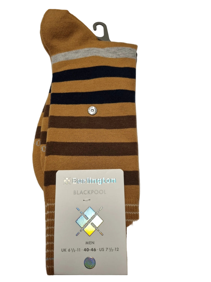 A pair of folded striped socks with a hangtag and size card, placed on white paper over a wooden desk. The socks have horizontal stripes in tan, brown, black, and a light gray ribbed cuff.