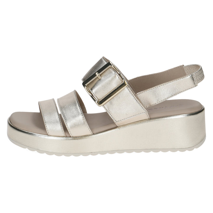 28300 CAPRICE 26 G FITTING