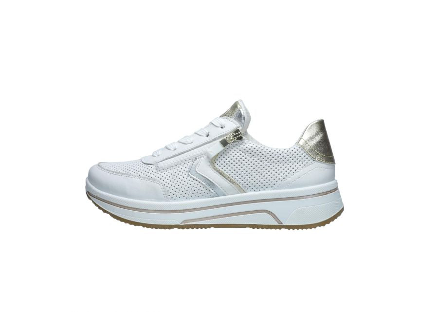 27550 ARA 26 SAPPORO H FITTING