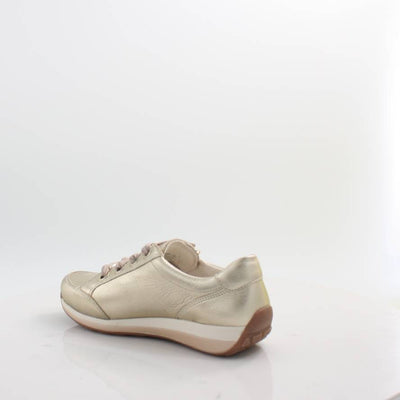 44587 ARA 25 OSAKA H FITTING