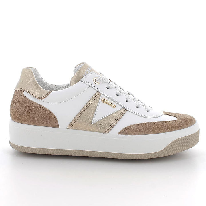 1144600 IGI&CO SHOES 26