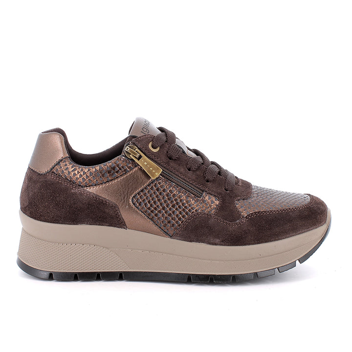 2173111 IGI&CO SHOES 26