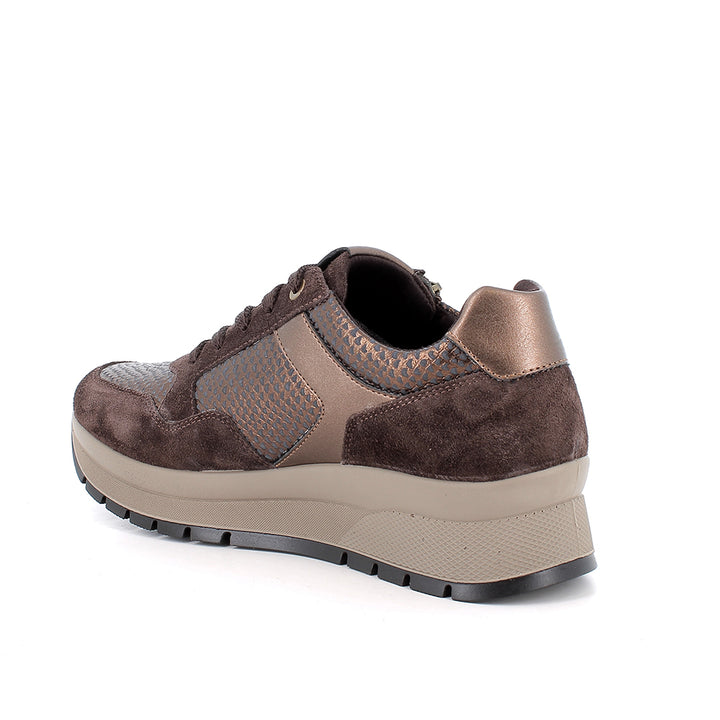2173111 IGI&CO SHOES 26