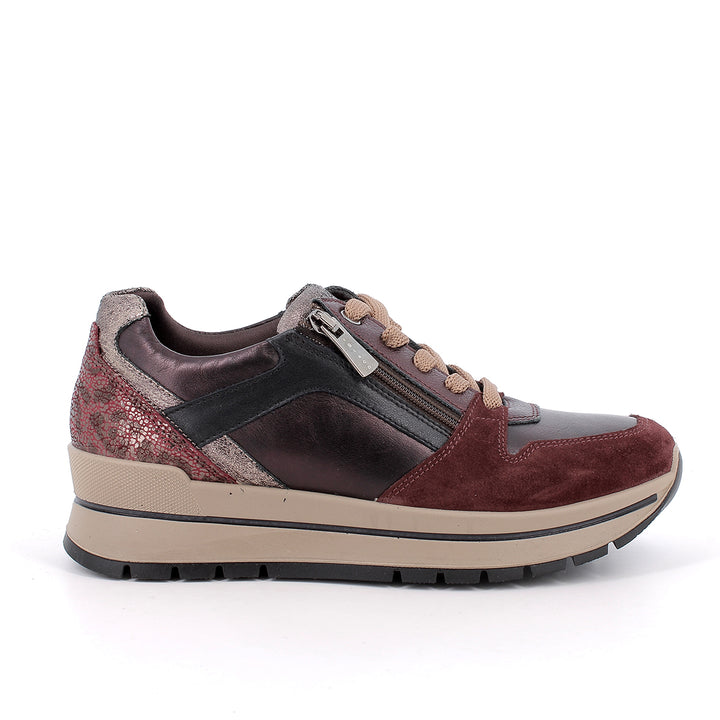 2174111 IGI&CO SHOES 26