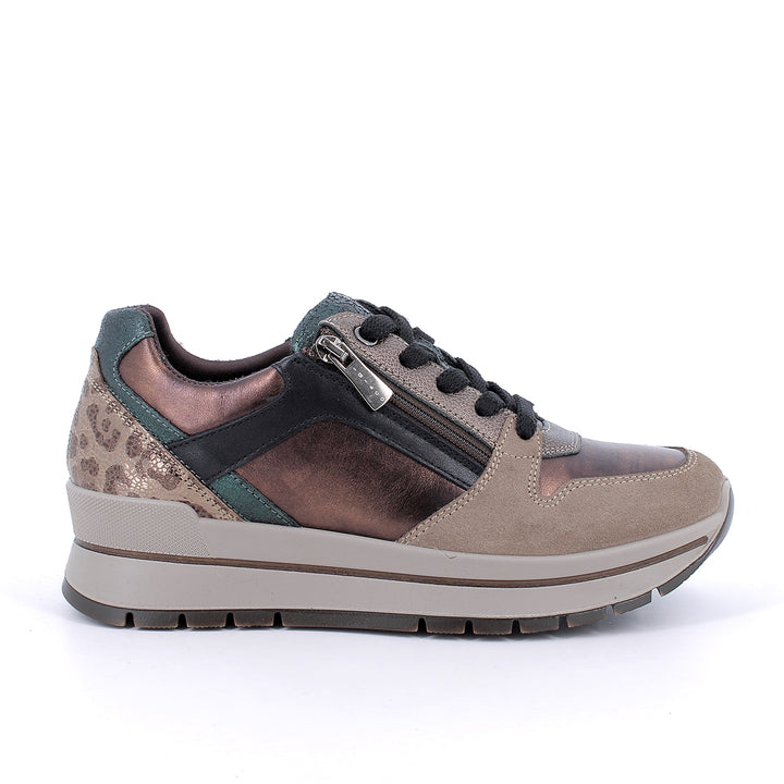 2174122 IGI&CO SHOES 26