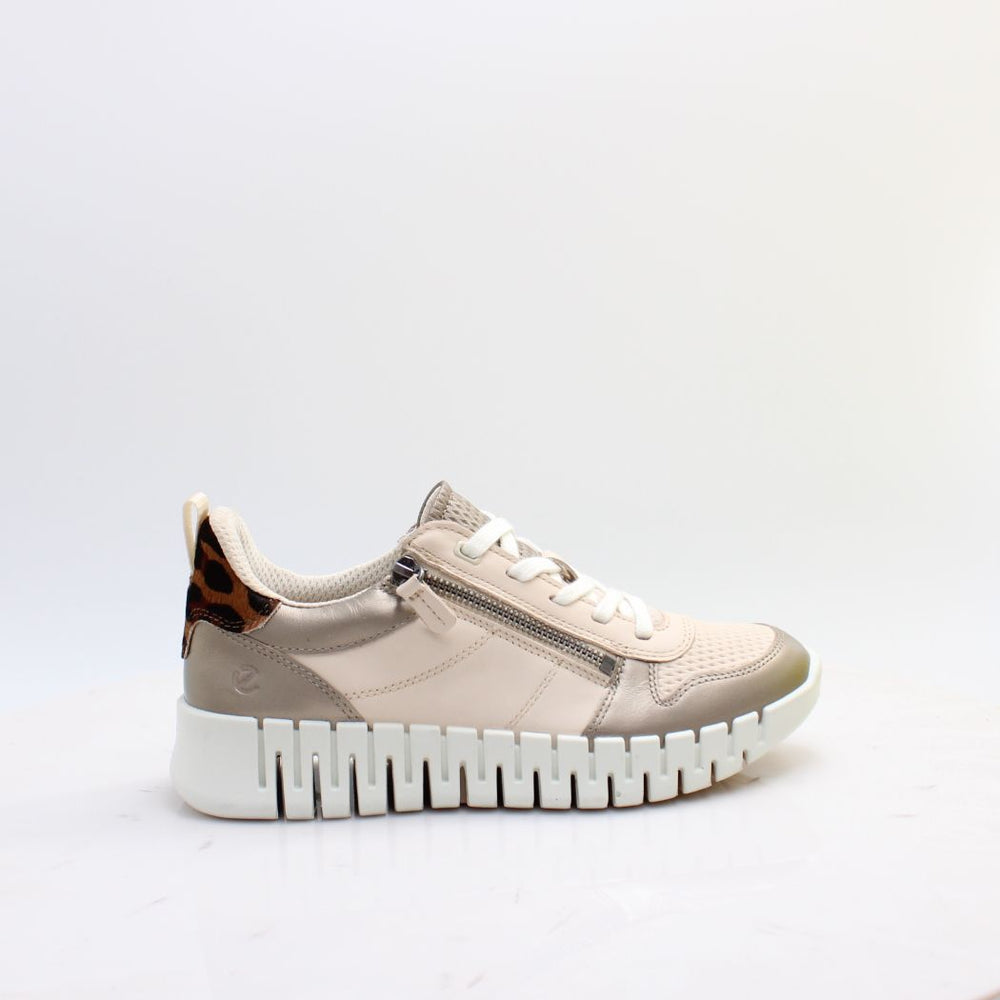 218353 GRUUV ECCO 26
