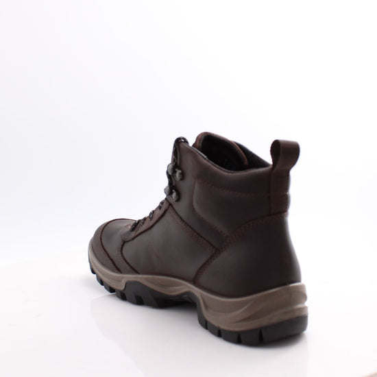 811414 XPEDITION III ECCO