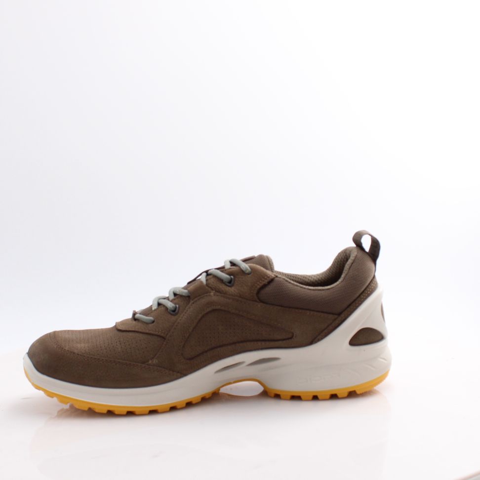 850814 BIOM ENERGY ECCO 25