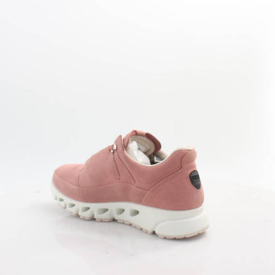 880123 MULTI-VENT ECCO 25