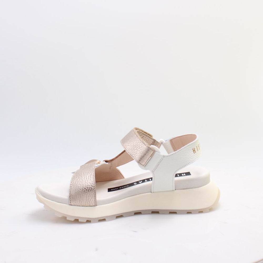 CHV264807 AMBAR HISPANITAS