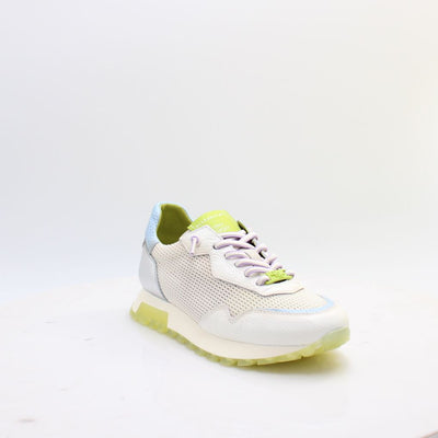 CHV264825 OREGON HISPANITAS