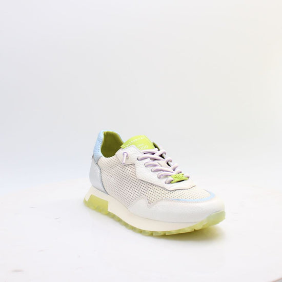 CHV264825 OREGON HISPANITAS