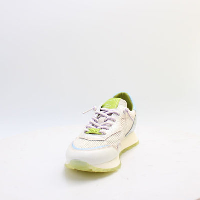 CHV264825 OREGON HISPANITAS