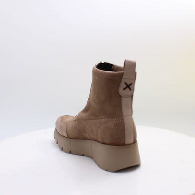 H1265233 HISPANTAS 26