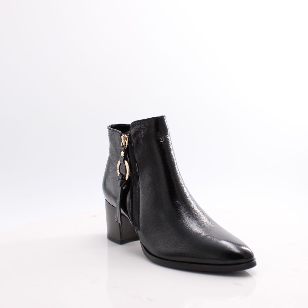 TAYLOR-01 REGARDE LE CIEL