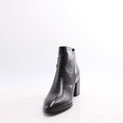 TAYLOR-01 REGARDE LE CIEL