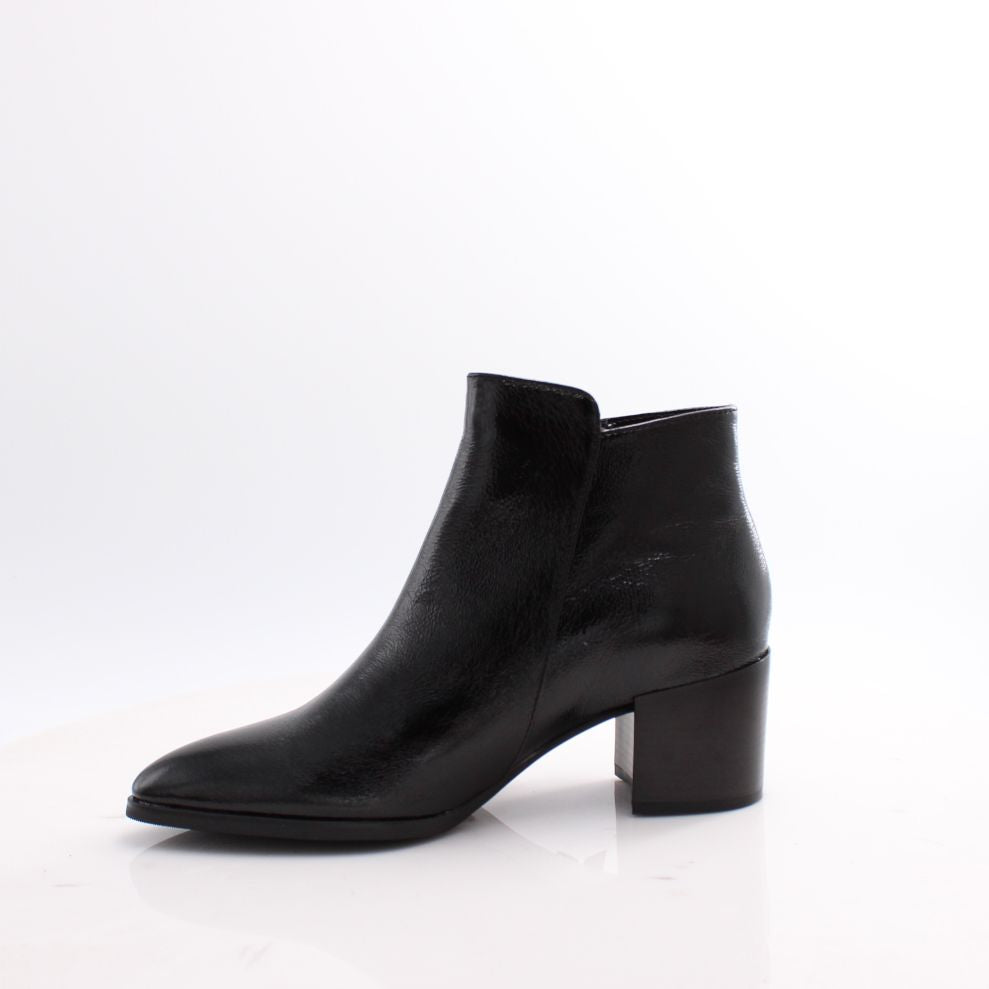 TAYLOR-01 REGARDE LE CIEL