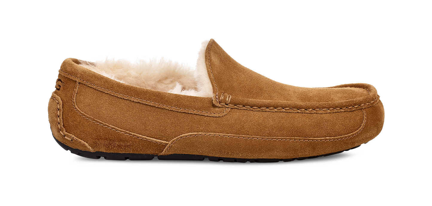 UGG ASCOT MEN'S SLIPPER