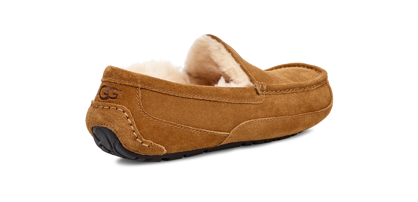 UGG ASCOT MEN'S SLIPPER