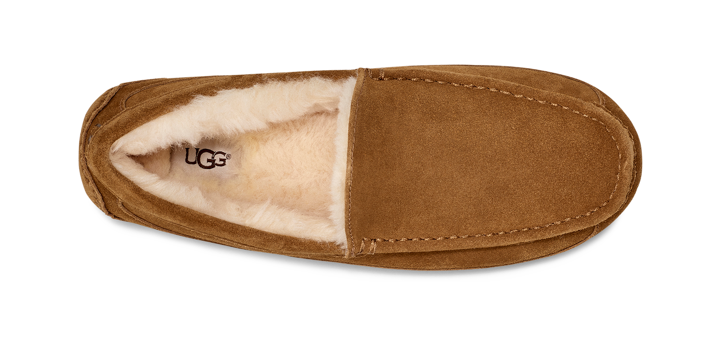 UGG ASCOT MEN'S SLIPPER