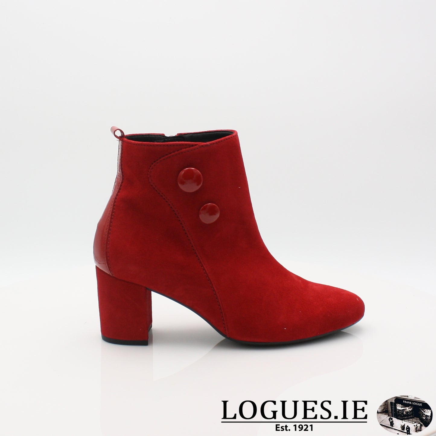 Venue 35.802  GABOR 19, Ladies, Gabor SHOES, Logues Shoes - Logues Shoes.ie Since 1921, Galway City, Ireland.