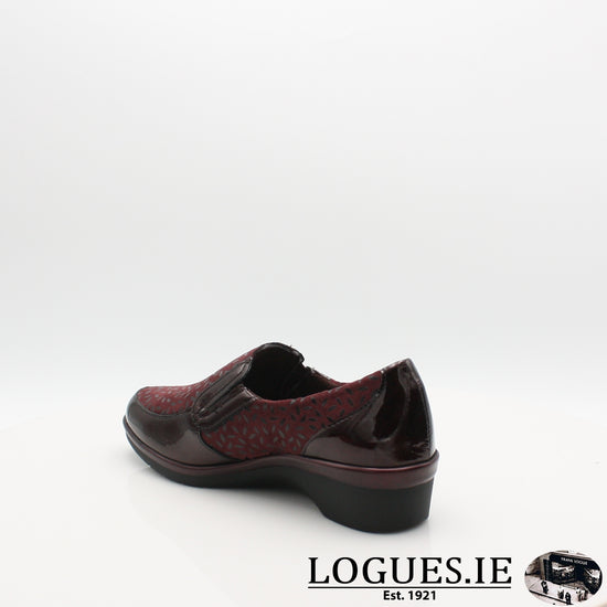 5710 PITILLOS AW19, Ladies, Pitillos shoes, Logues Shoes - Logues Shoes.ie Since 1921, Galway City, Ireland.