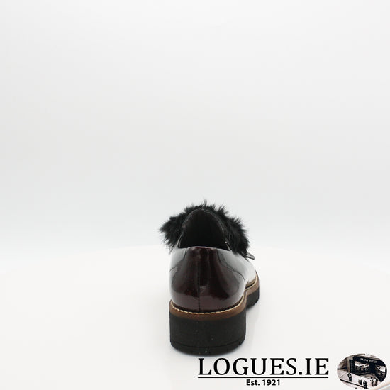 5792 PITILLOS AW19, Ladies, Pitillos shoes, Logues Shoes - Logues Shoes.ie Since 1921, Galway City, Ireland.