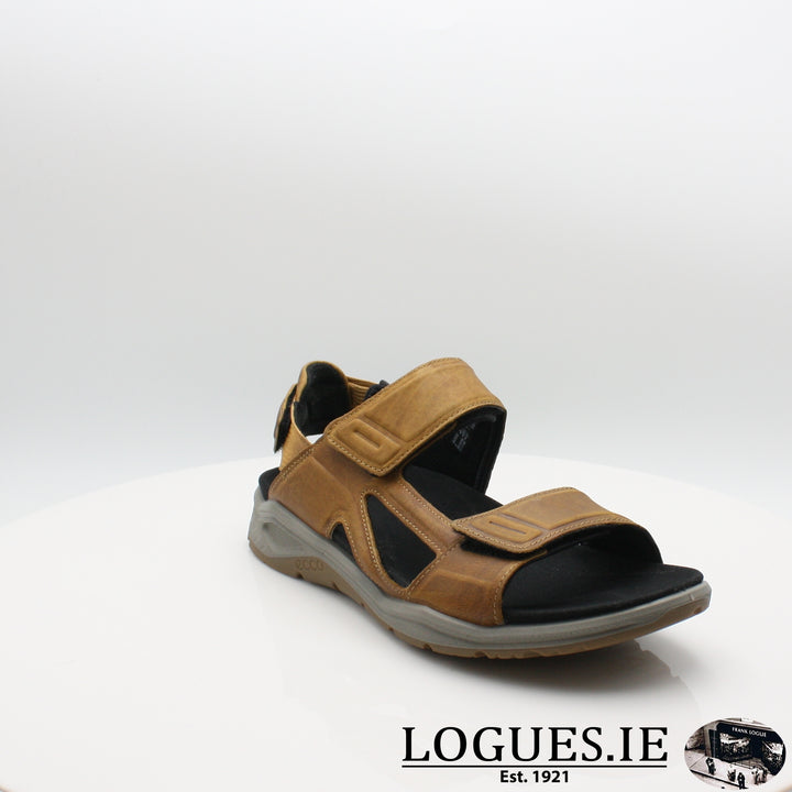 880614 X-TRINSIC ECCO, Mens, ECCO SHOES, Logues Shoes - Logues Shoes.ie Since 1921, Galway City, Ireland.